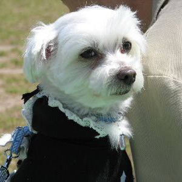 Dbfda29f 82d3 44cb b5d7 713487dce93e 1525001244691