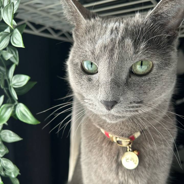 Dbfdb7d1 be6c 4241 8aec e5779acddcf3 1739214073186