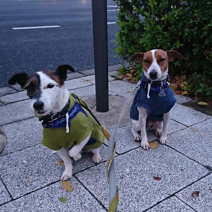 Dbfe0db0 ba69 4766 9ef6 abcbffeb77fe 1544132937350