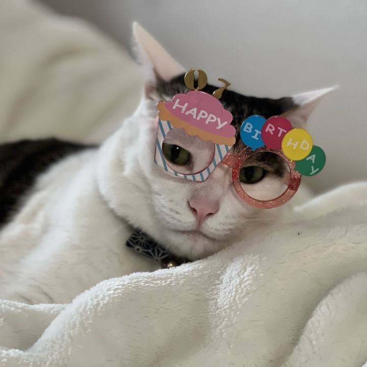 Dbfe0dc3 10f6 493e 9d43 62368f8a4afb 1682984918785