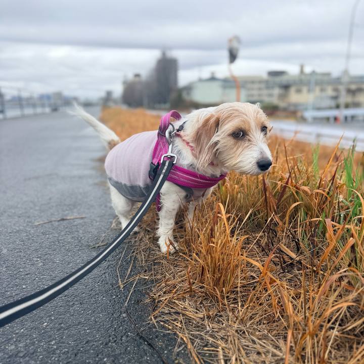 Dbfe3439 ed66 42ec 9e20 78f46dfd8064 1772502024897