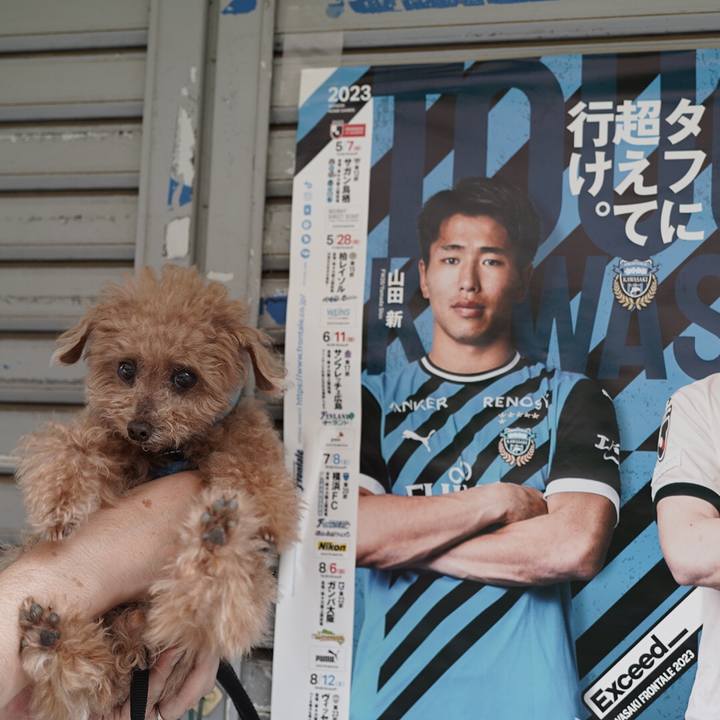 Dbfe5d03 50f0 4340 b086 8f269dfc15e4 1699881476507