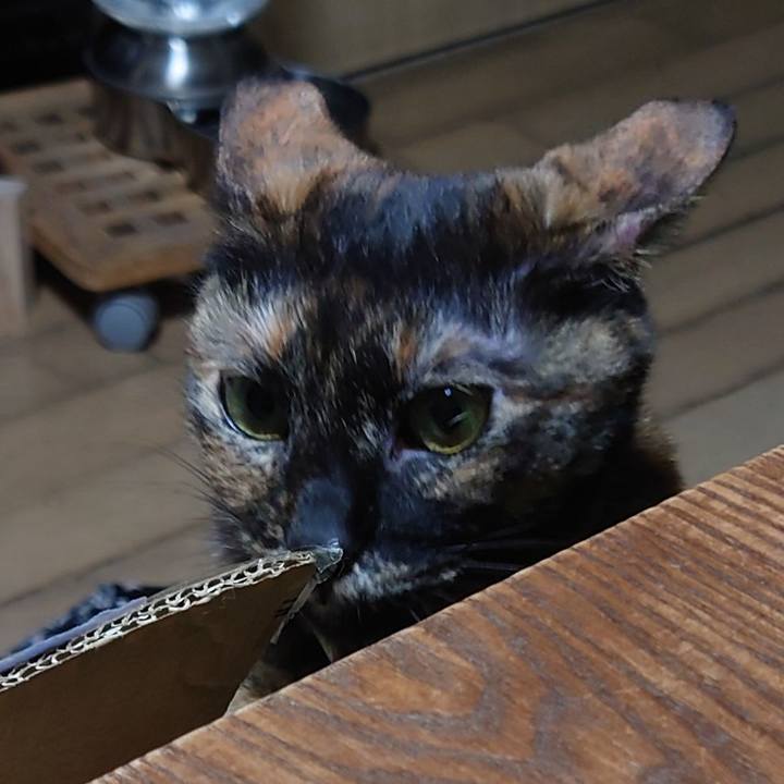 Dbfeaa29 f415 4593 9fab 76ffdbd94b60 1645274011230