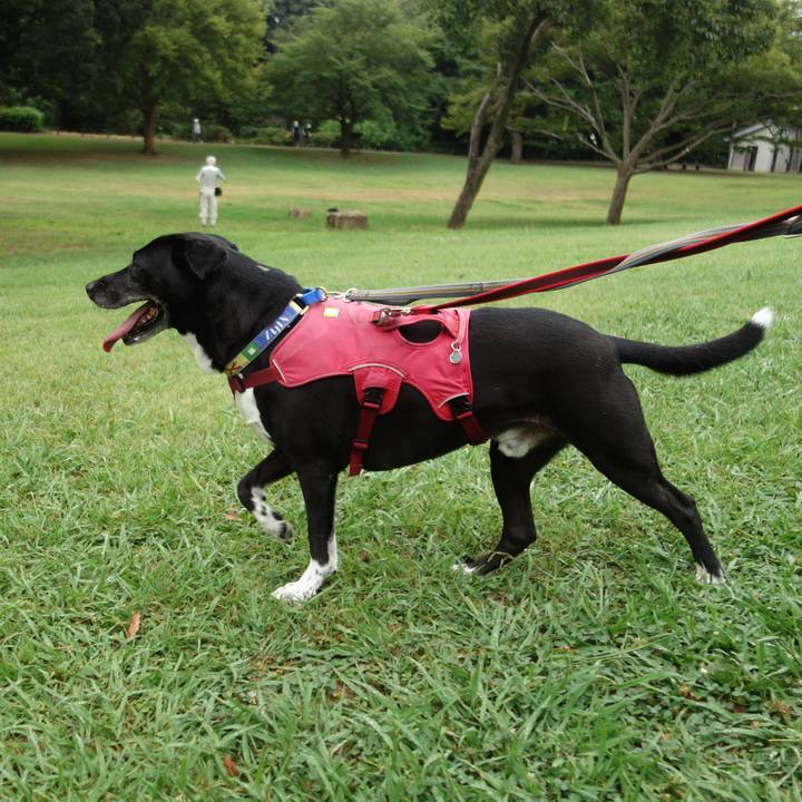 Dbfeadd3 96b6 43e8 96eb eb5e6570866f 1690847947957