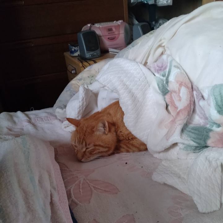 Dbfebfa3 86a9 4927 803c 47b8f55ac598 1716329259932