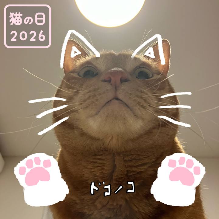 Dbfeda9d 1e74 4b40 9568 760003f22085 1771714293390