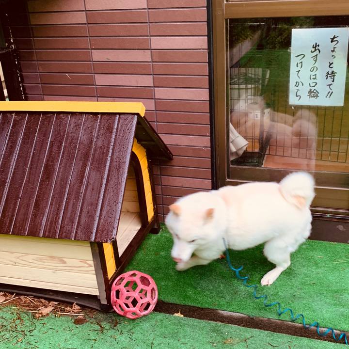 Dbff1480 5b46 4236 9183 39ea632f7b0b 1601069973939