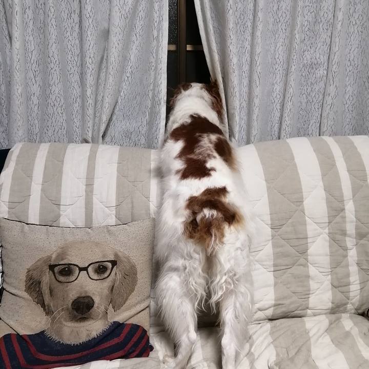 Dbff1686 d66e 4739 bb6d 93de7d0fed79 1567164974104