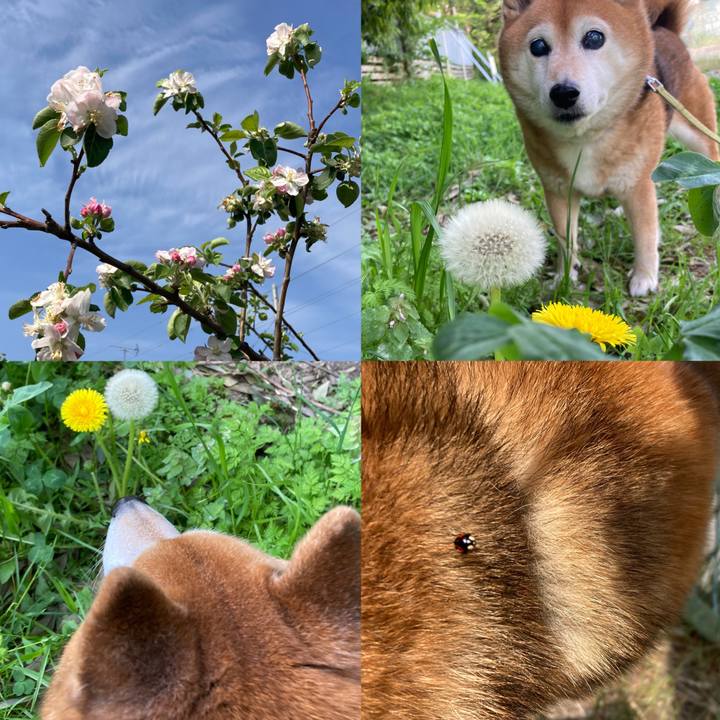 Dbff30cb 136d 418e ac06 3f27c52b2883 1713573818525