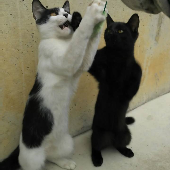 Dbff554c b83a 4d24 8636 e8b706a956f4 1536667728228