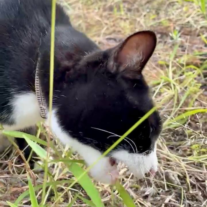 Dbff5b5d f359 448d 803d 85bc9e08f439 1759219022480