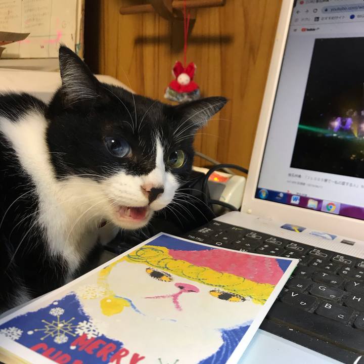 Dbff628b 3ee7 4395 b6c2 573805ffa00f 1575813089677