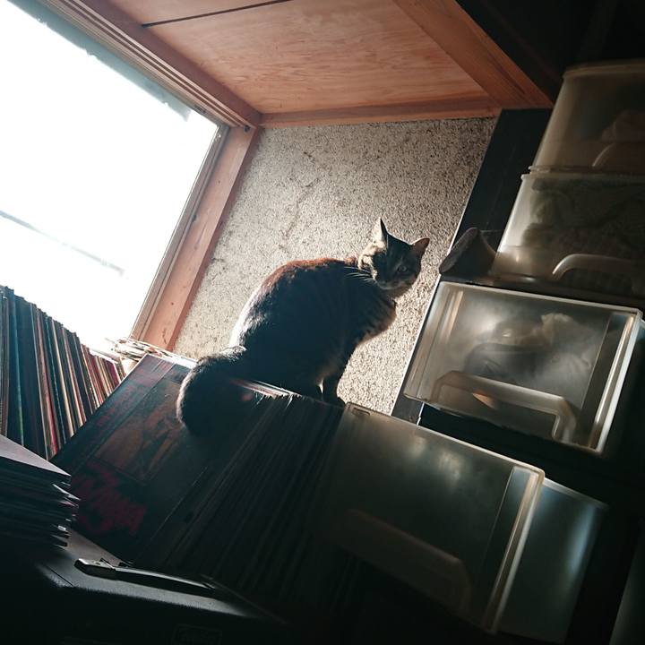 Dbff6aea 0dfc 4f5a bf14 35da9e40f989 1649403737829