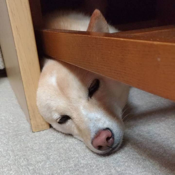 Dbff6b0c ce37 421c b34e 7436fd55bc1b 1567598092557