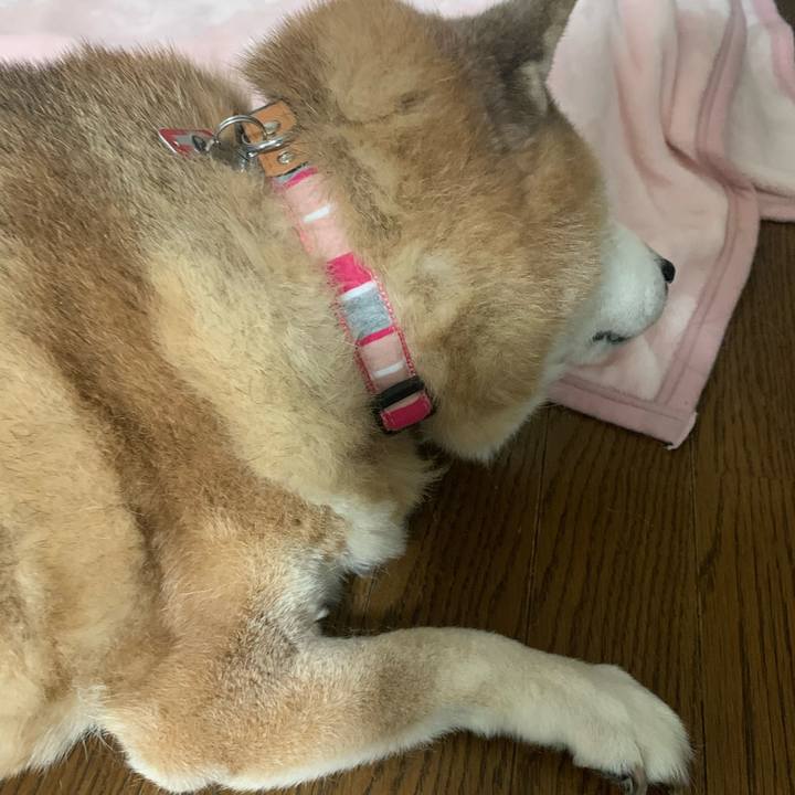 Dbff8a96 6920 4208 a7ff b884bae23995 1611742769073