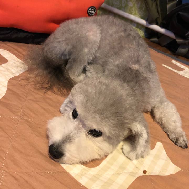 Dbff8dd3 db42 4060 b282 f4c1754d2366 1570775990005