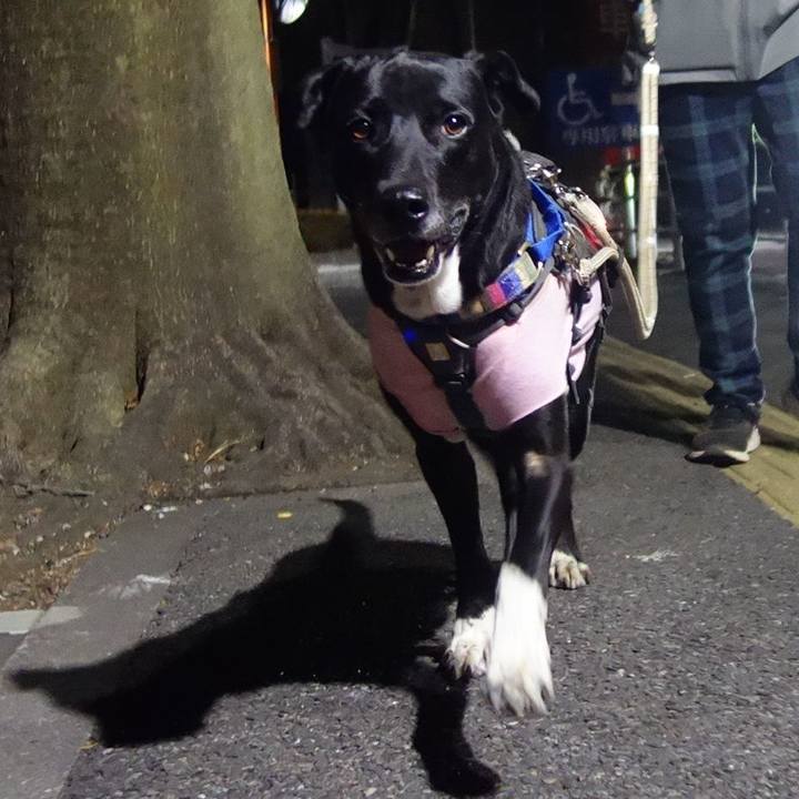 Dbffa0d2 445f 421b 96e6 91009f32e6f8 1646217178344