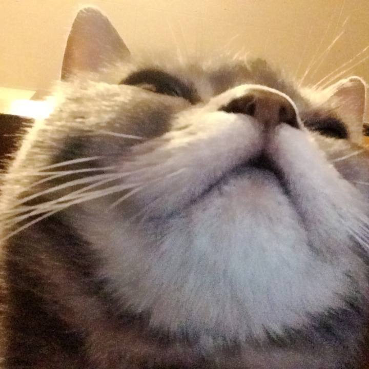 Dbffac9d 6b4d 4e1f 8381 7c34f7a9588d 1511606724837