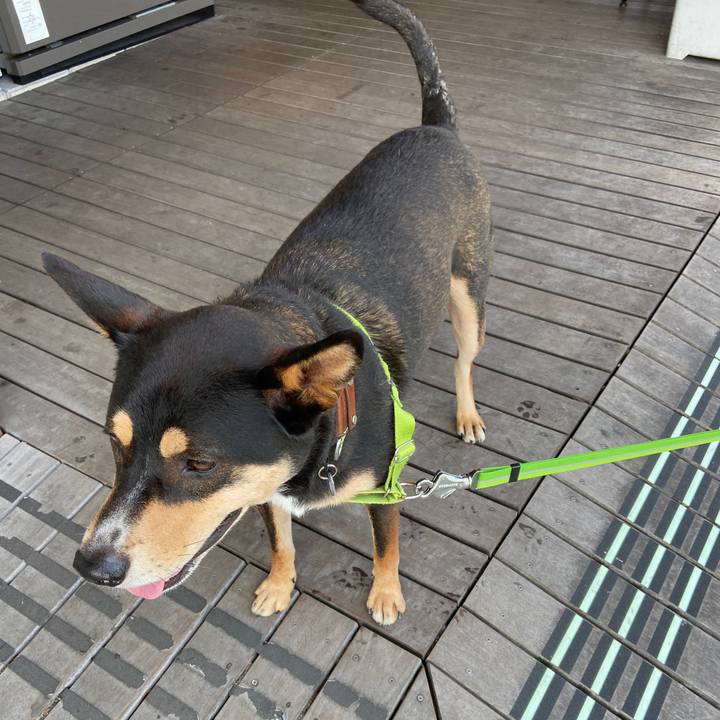 Dbffd087 46d2 4449 bf18 9f5ffad04ecf 1603865019946