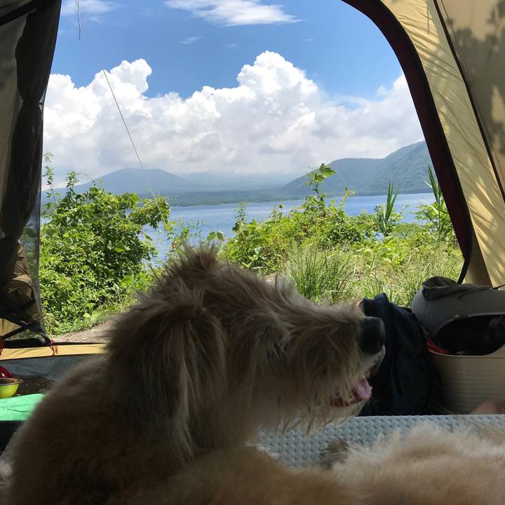 Dbffe823 6b60 4fee a8ff cb89b9639f21 1534129446759