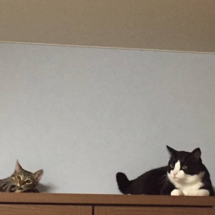 Dc000d7c 995b 4dfb 8b16 cf41346c60a1 1509250011946