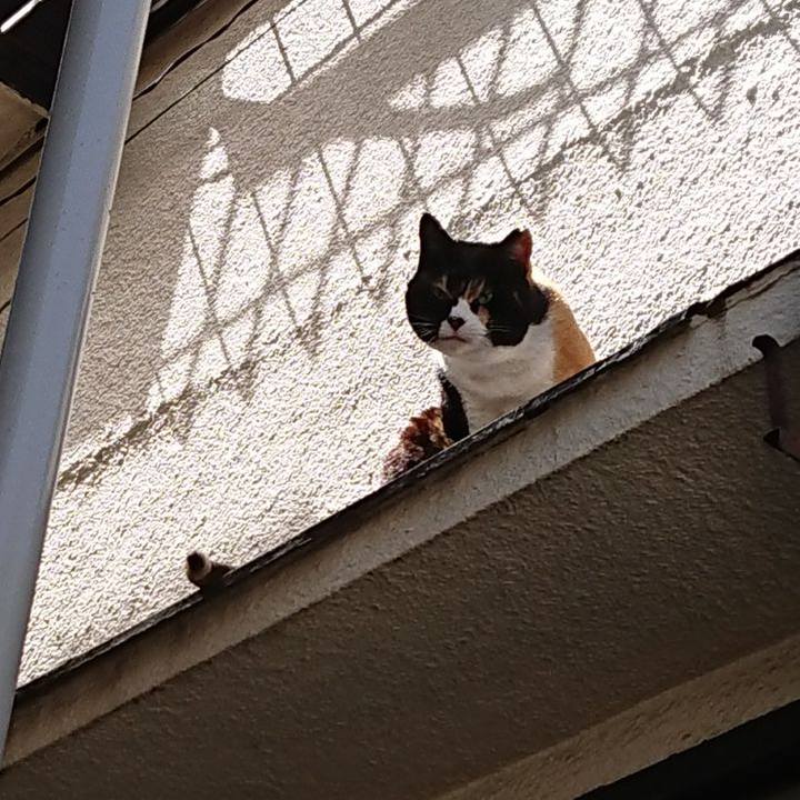 Dc000f7e 2ef6 4366 a939 aa719ee034aa 1681007786579