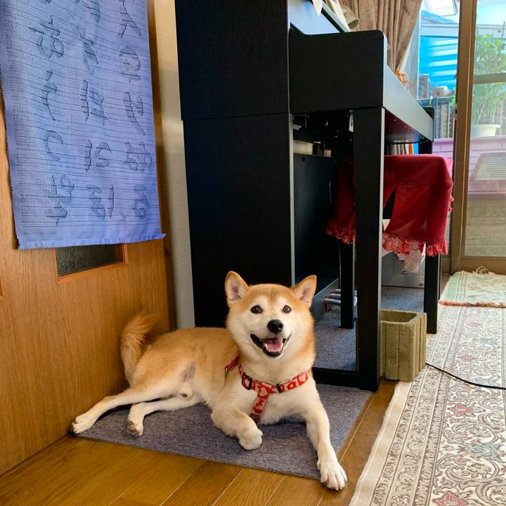 Dc002a52 0d90 4028 81d3 f2c893837fb1 1630197945375