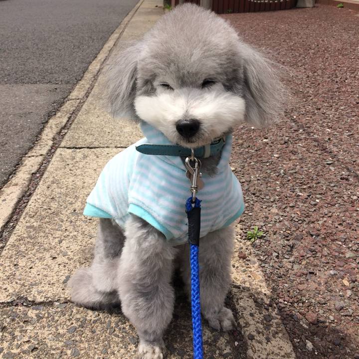 Dc008673 2099 45bd bb2d 5cd60f22ed5f 1717492698482