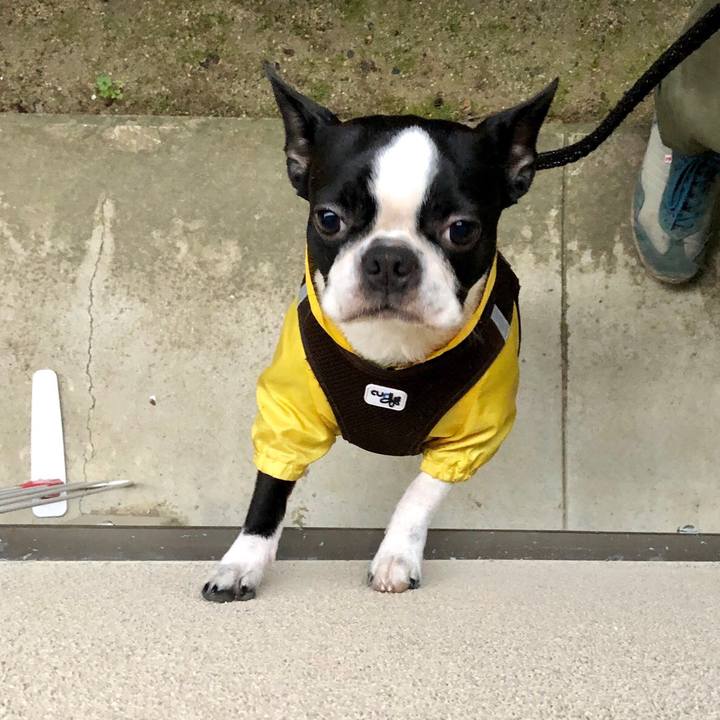 Dc008d46 27b0 4e58 9dd4 35e1b8a65d08 1543791448103