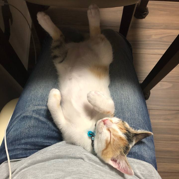 Dc00a6c5 ca0c 4219 8769 b47a70bdf70c 1563548314664