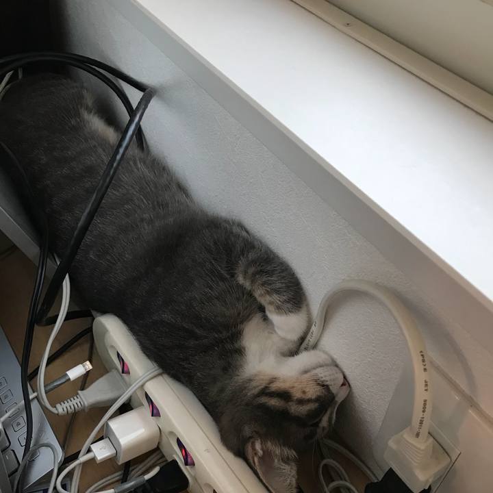 Dc01065d 600e 4b54 9b90 a07f8b7bac9c 1535192557521