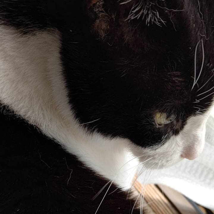 Dc0136e4 e277 41da 981c f8af1d8cbdf2 1650599190421