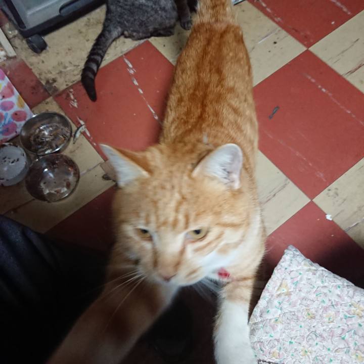 Dc013c32 276c 4a38 8277 eeb77aabb542 1575097487720