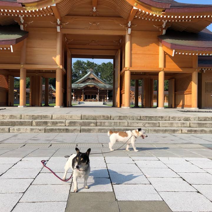 Dc013cf0 9191 4eac bbc3 6f3cfcf10cd8 1564356815280