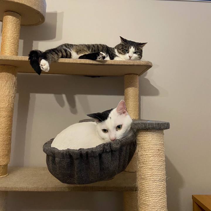 Dc014390 c83c 4350 9dfa 0b33af4df9ab 1722579951247