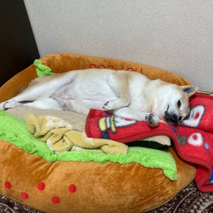 Dc016291 6894 4aad aa87 a8132445a42c 1617194034041