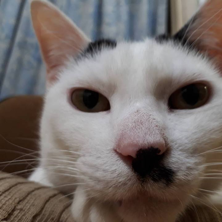 Dc0168b8 8b5d 4fb0 99a2 65191d0a8546 1581475824385