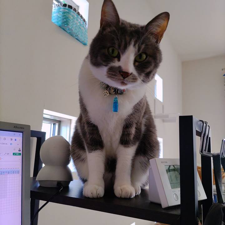 Dc01b476 ff44 4913 8ac5 1bf5e9cf8d88 1709037178534