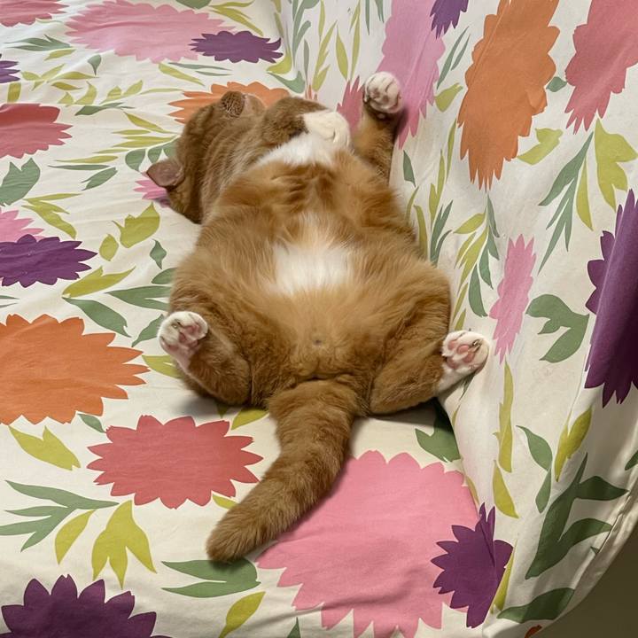 Dc01c217 fbe2 4a7b a8f7 2470f9417d45 1722758561767