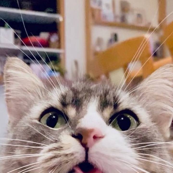 Dc01c56b 932a 4490 94ef 3ac1cde765d8 1754408088055