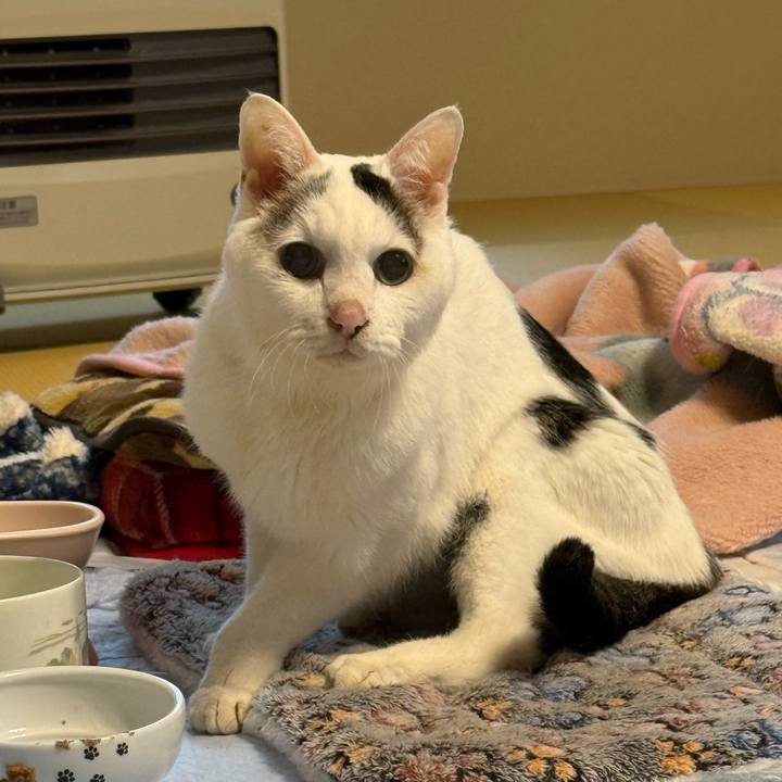 Dc01d05f e804 4697 ae89 513df1184f18 1770433366530