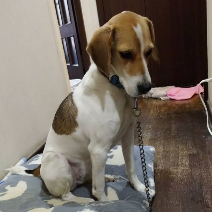 Dc01db4f 8e5a 4a7e 8209 8b677495bc0c 1606819088790