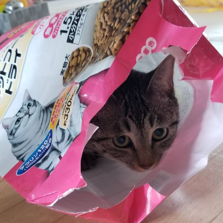 Dc01fc46 69cc 4dac 8529 26a41a79d46a 1688601119579