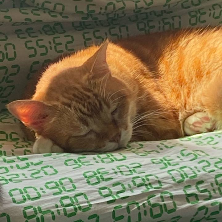 Dc021f4f 14c0 40bd 9465 16a74f2999a5 1662771737191