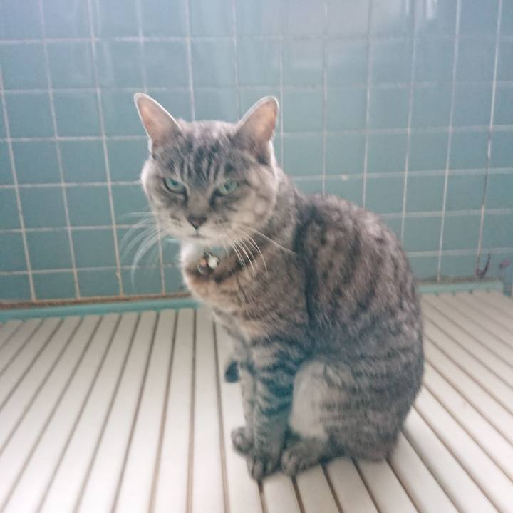 Dc0220e9 9870 48c6 ad61 a4e7909aa548 1572395591287