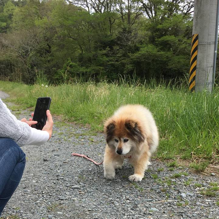 Dc022275 5cd1 450e 959b 7799ea9324d7 1660006540626