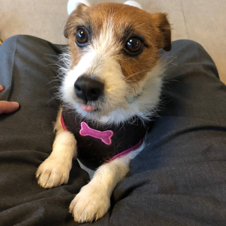 Dc02234d f7df 4558 ae22 d61d2cef1217 1541905201104