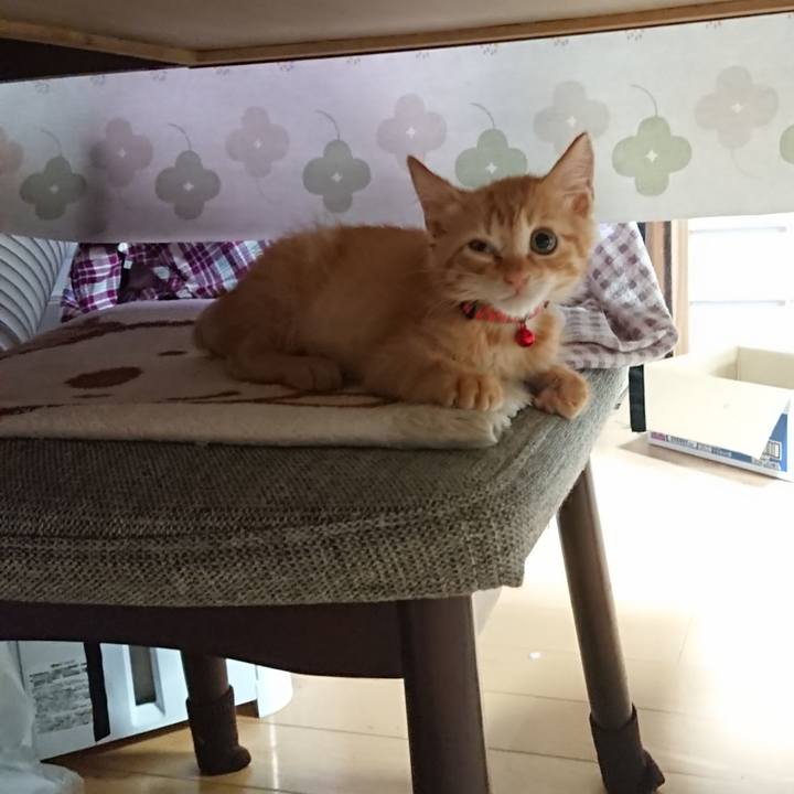 Dc0240bd f2bd 4b98 91c4 927e2fc22de3 1628545975073