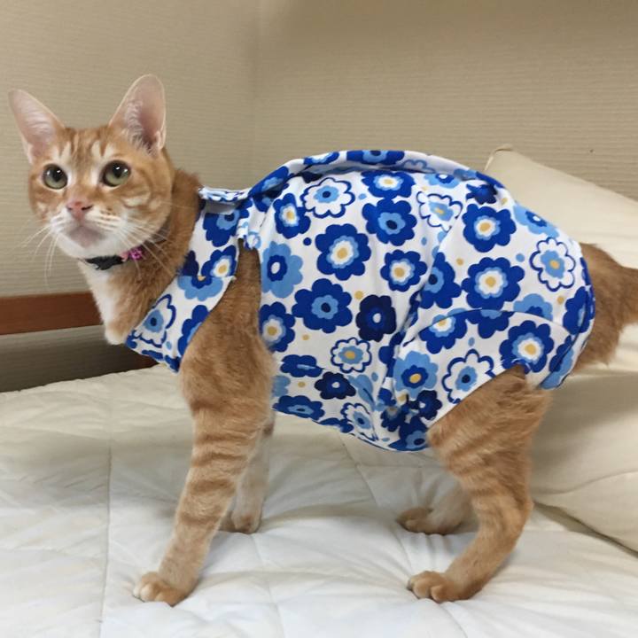 Dc026550 10bb 4142 b111 73d8a8b6d0f2 1521022939887