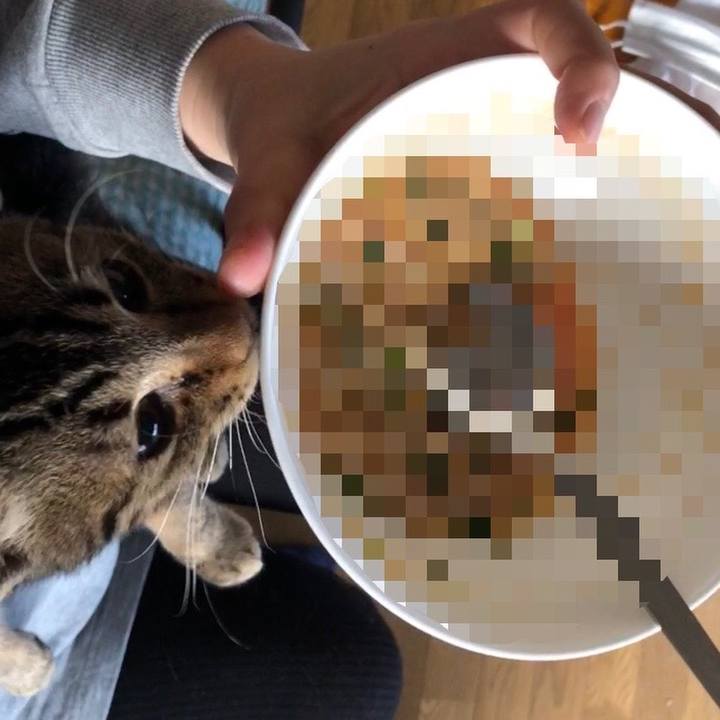 Dc02a4ae 05be 47b7 958d 93cd13de3f10 1731192546877